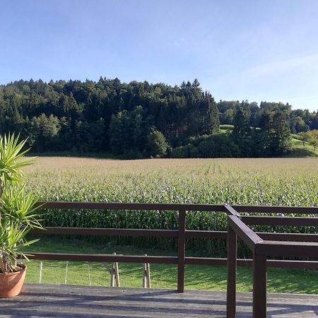 Ferienhaus Am Bach Kirchberg an der Raab Екстер'єр фото