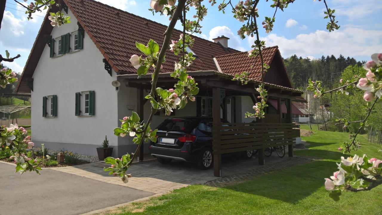 Ferienhaus Am Bach Kirchberg an der Raab Екстер'єр фото