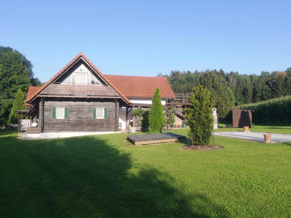 Ferienhaus Am Bach Kirchberg an der Raab Екстер'єр фото