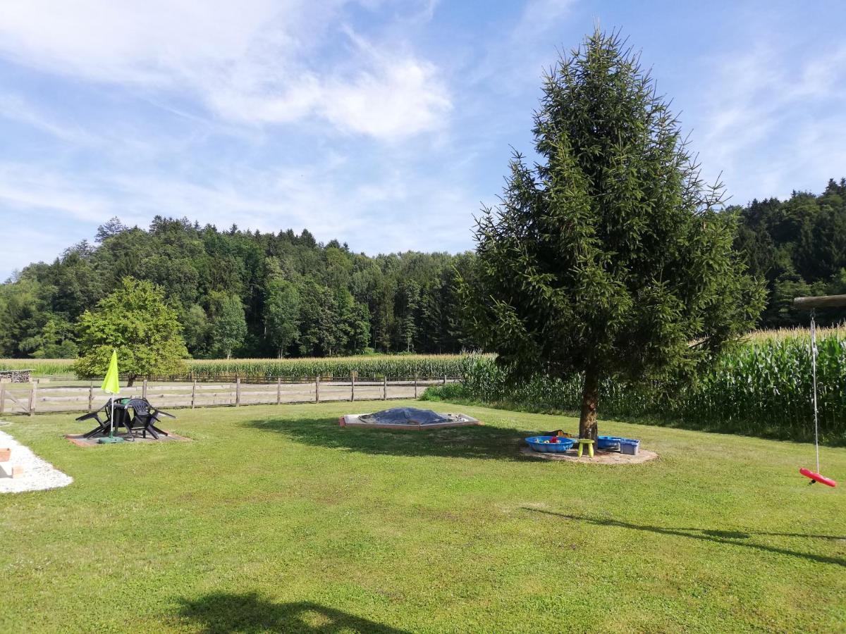 Ferienhaus Am Bach Kirchberg an der Raab Екстер'єр фото