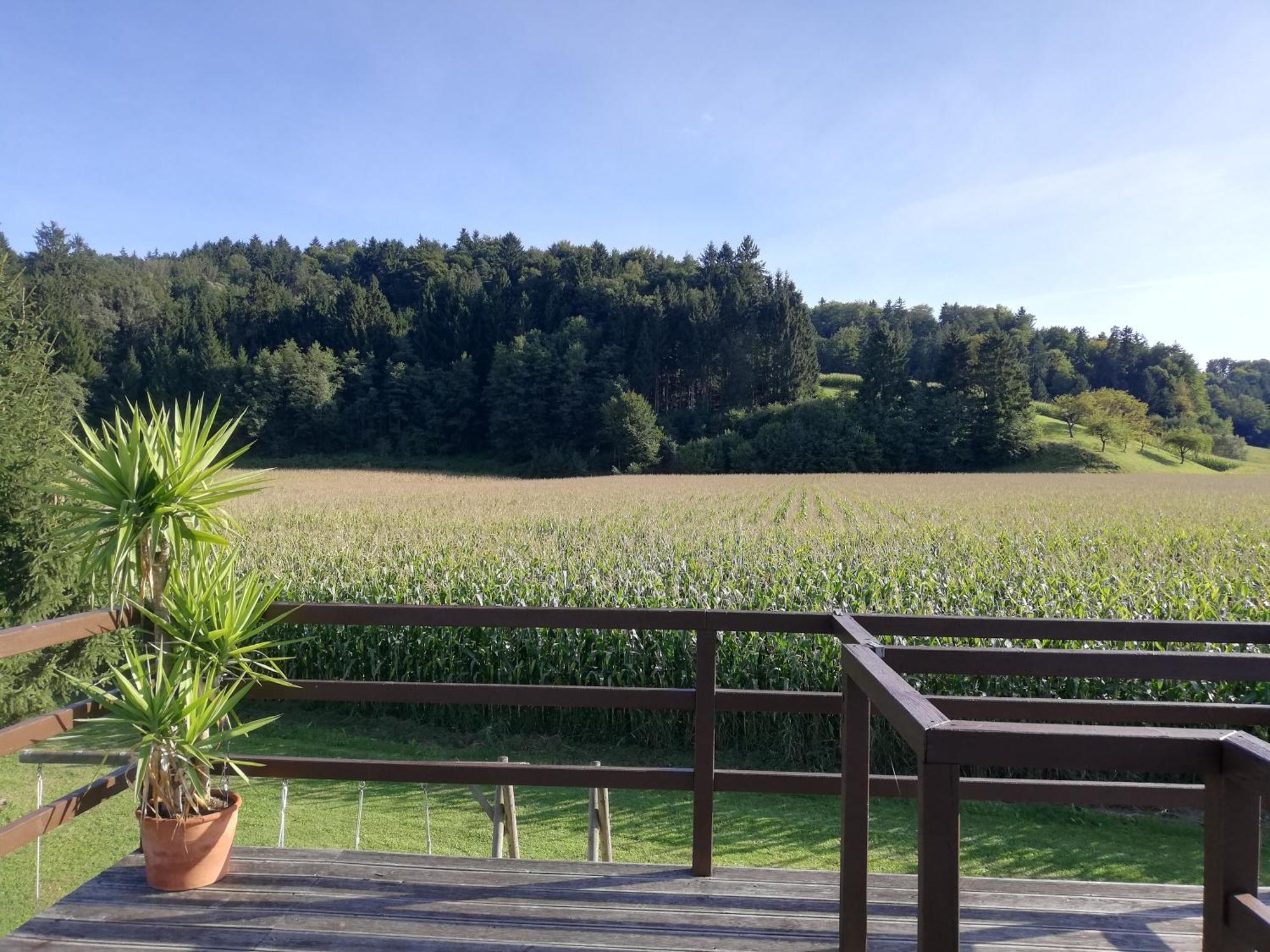 Ferienhaus Am Bach Kirchberg an der Raab Екстер'єр фото